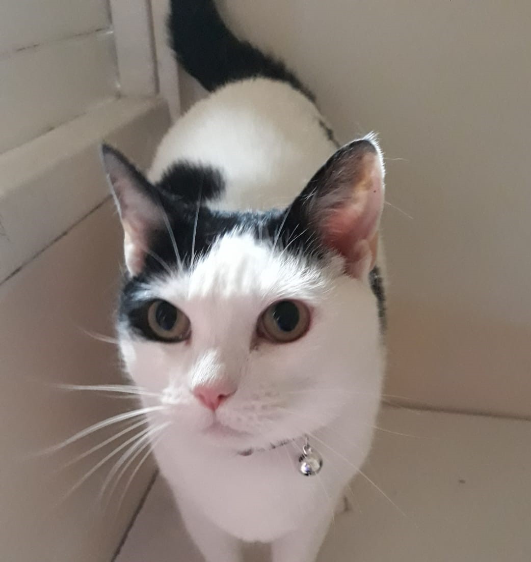 Maggie
